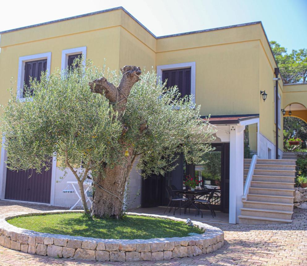 Villa Arisa With Pool Selva Di Fasano Kültér fotó