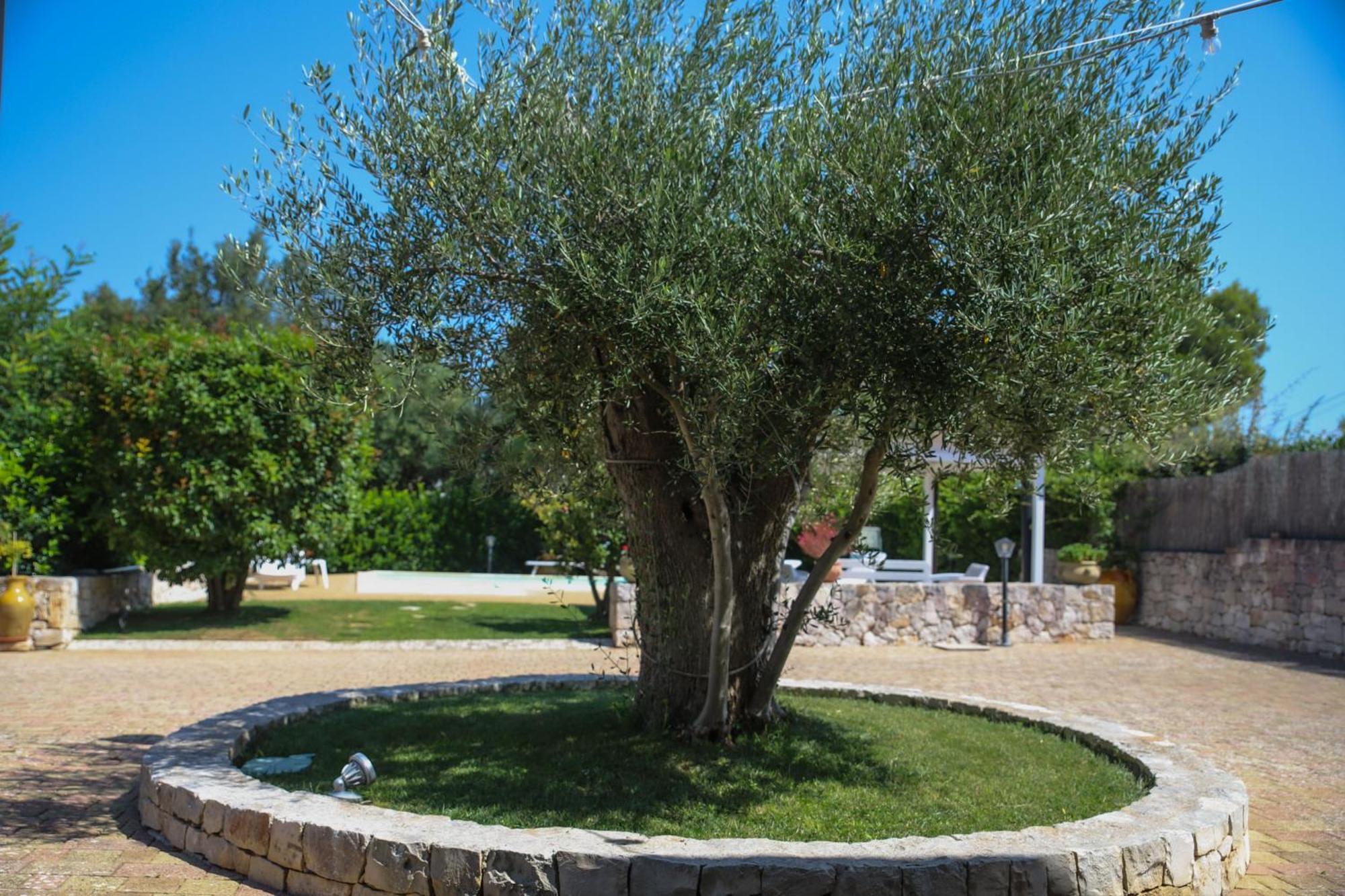 Villa Arisa With Pool Selva Di Fasano Kültér fotó