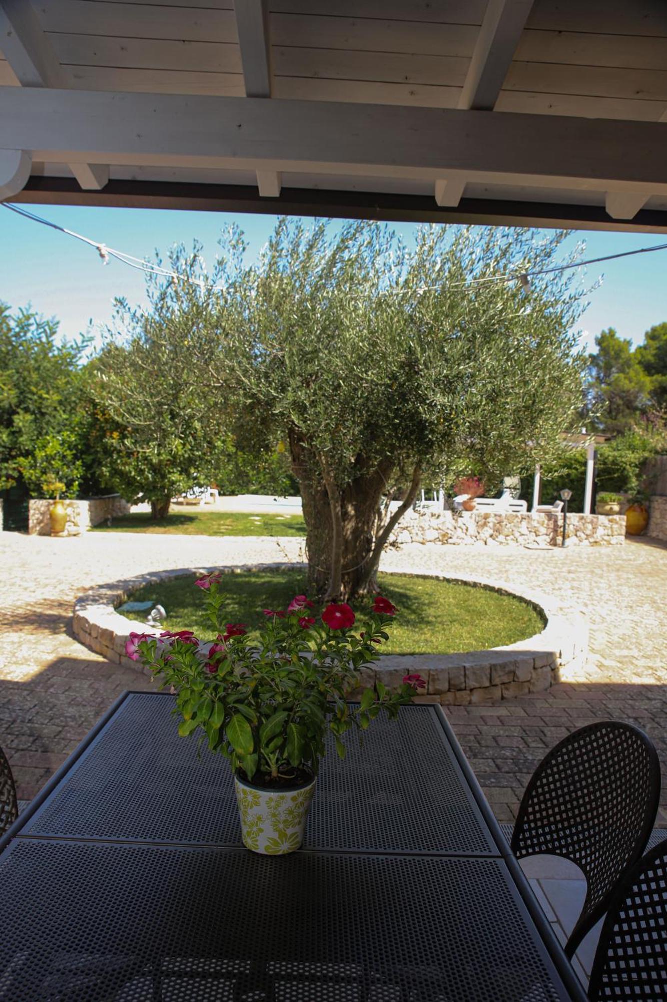 Villa Arisa With Pool Selva Di Fasano Kültér fotó